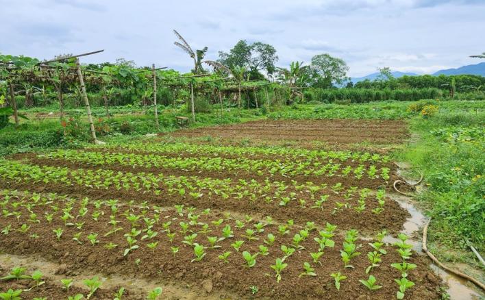 Mô hình canh tác hữu cơ là gì?