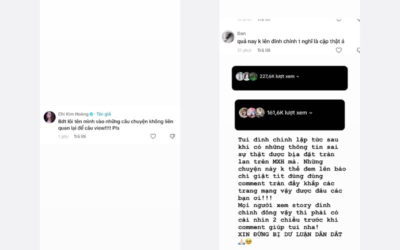 Hoàng Kim Chi Shark Bình