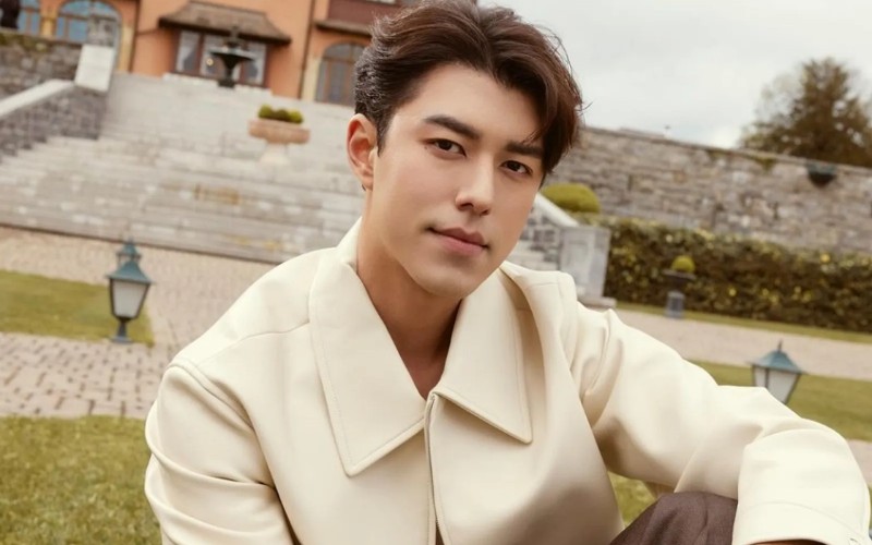 Sự nghiệp của Nine Naphat