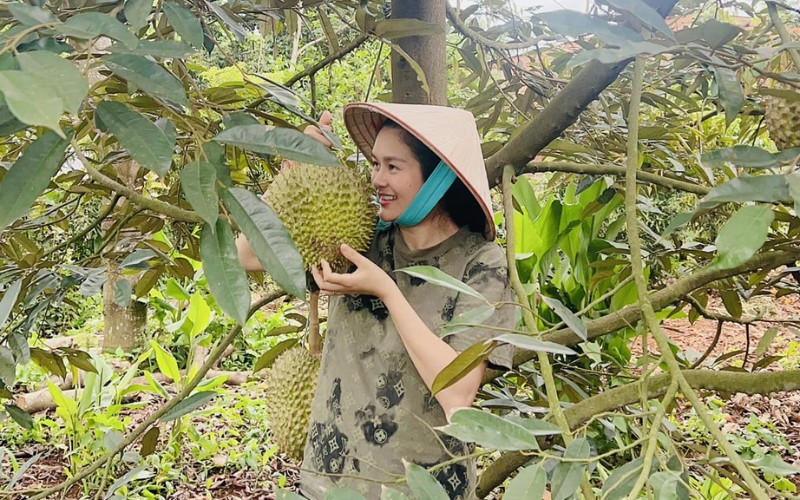 Sự nghiệp của O Huyền Sầu Riêng