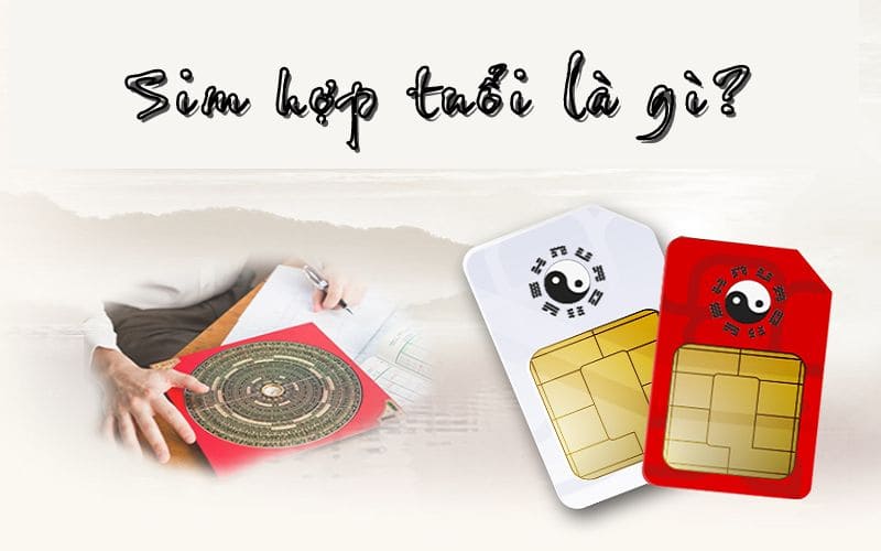 Sim hợp tuổi là gì? 